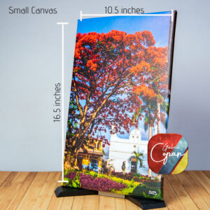Small Canvas  10.5x16.5