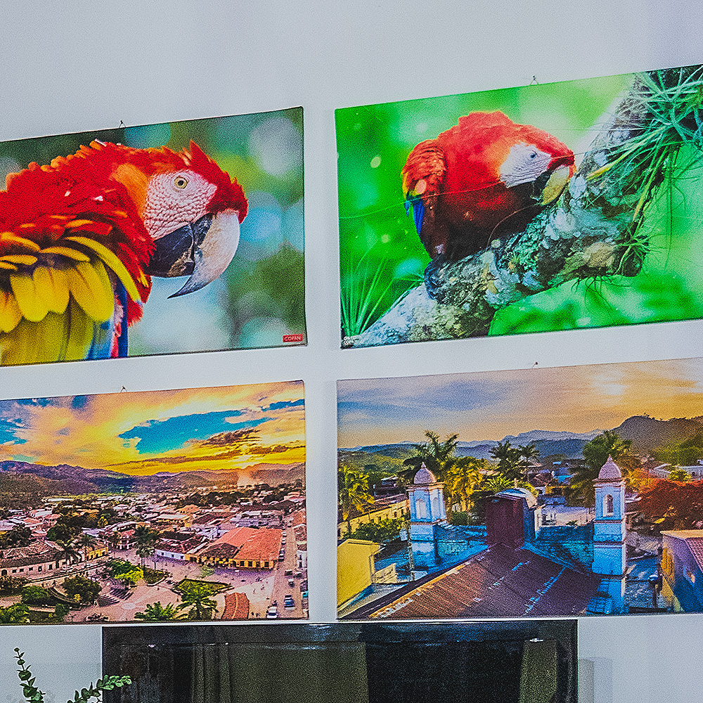 Photo in canvas